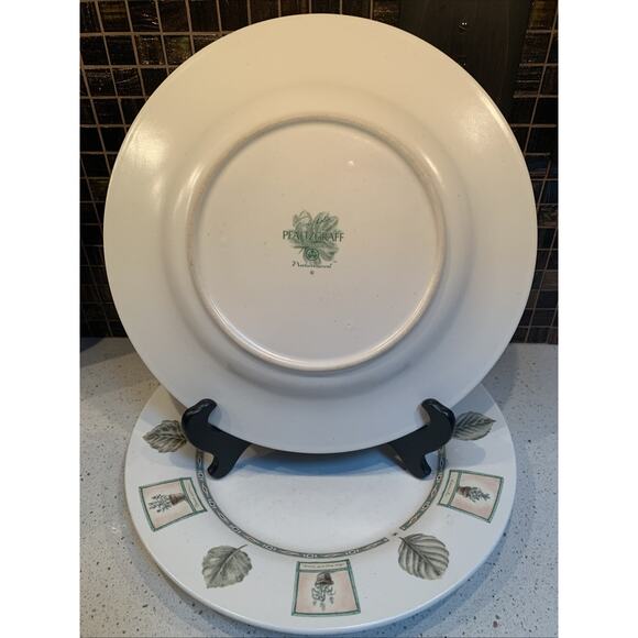 Pfaltzgraff Portfolio Naturewood Dinner Plate Set Of Two 11 Inch Garden - Picture 5 of 5